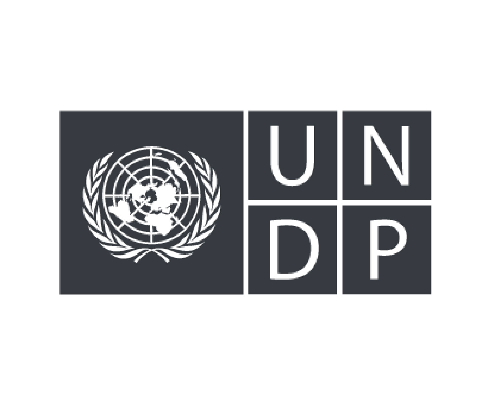 logo PNUD